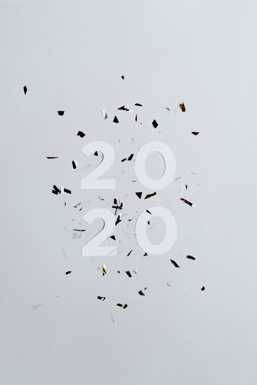 Grey Bird 2020 Confetti Wallpaper