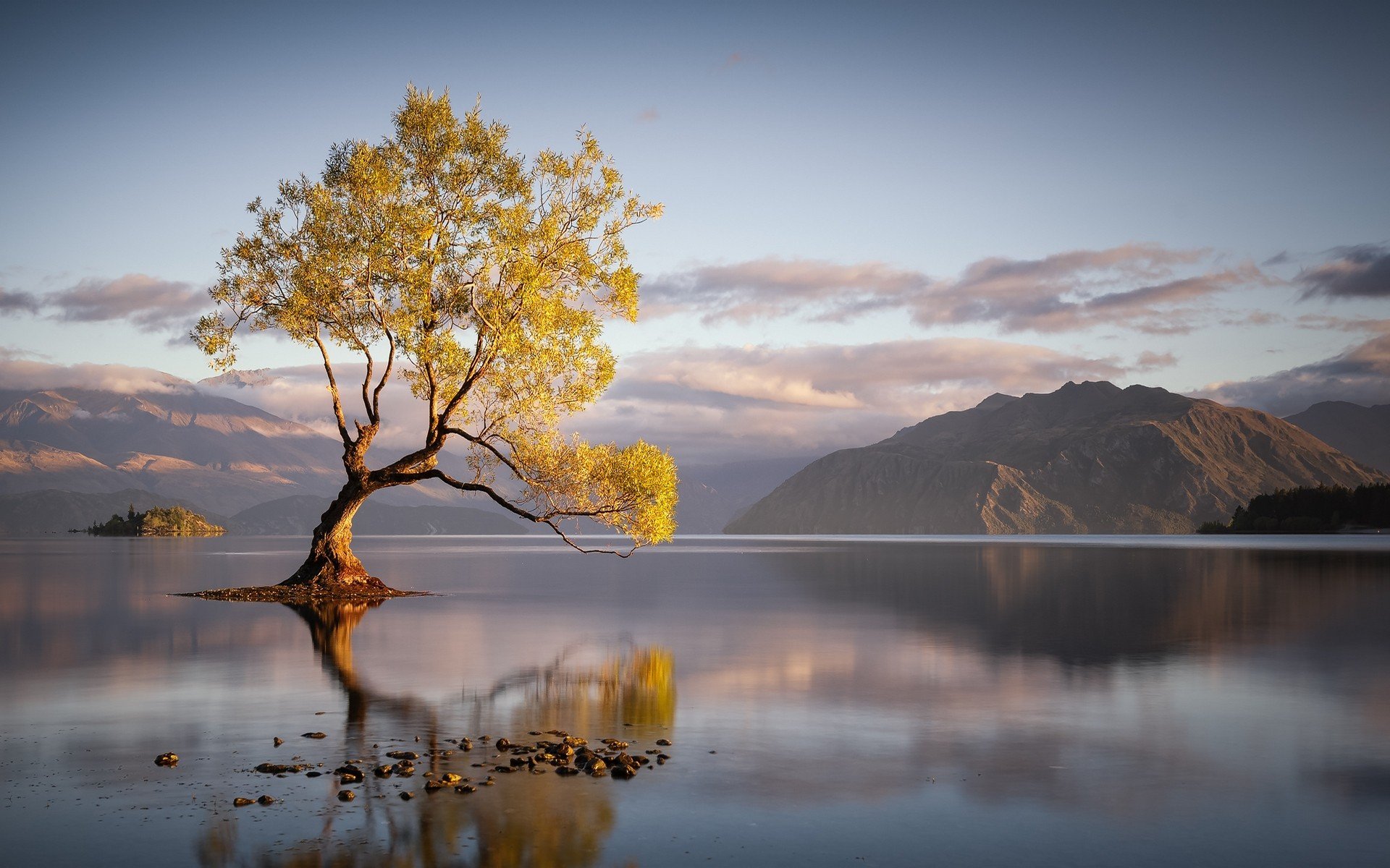 Wanaka Calm Reflection Wallpaper