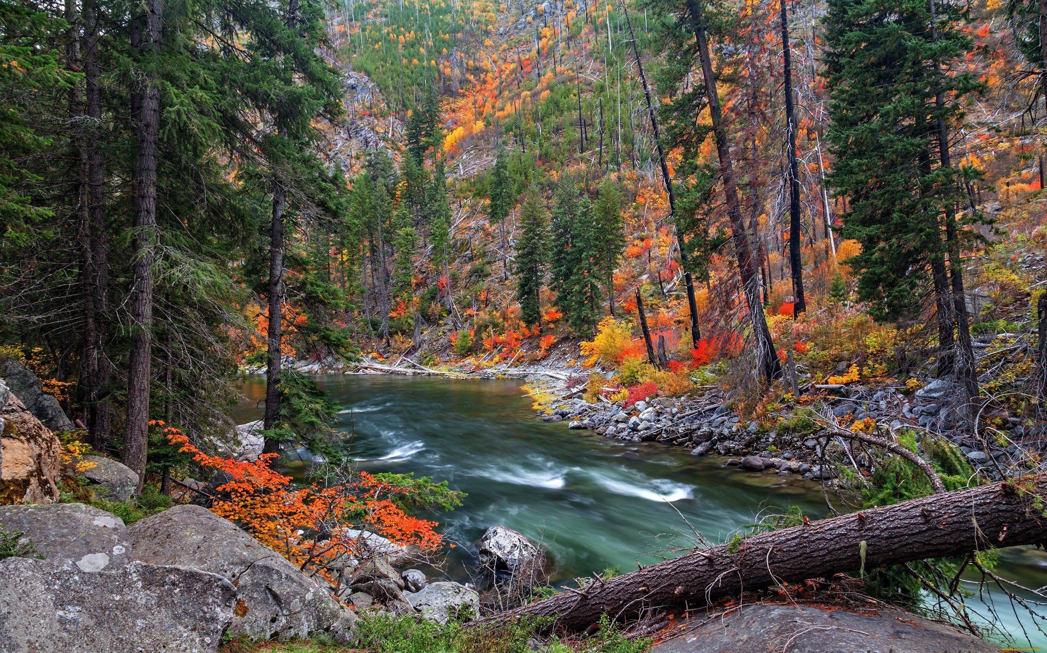 Autumn Forest Riverbank Wallpaper