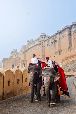 Elephant Ride Jaipur Wallpaper