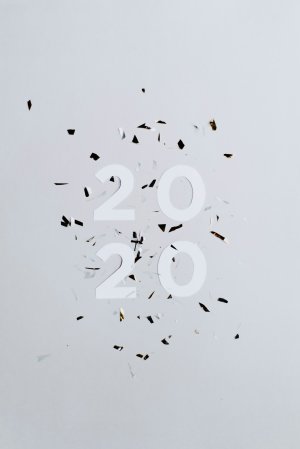 Editor's Choice - Grey Bird 2020 Confetti Wallpaper