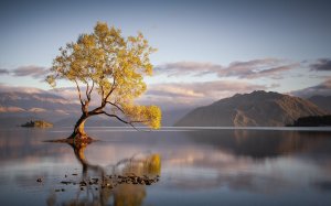 Community Photos - Wanaka Calm Reflection Wallpaper